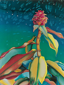 Night Bloom